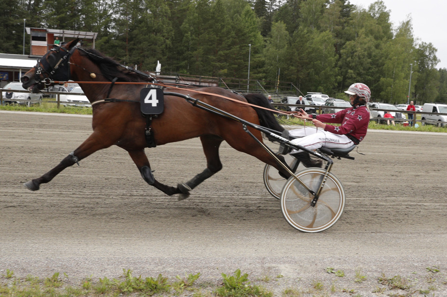 Goetmals Joe Cecilia Karlsson
