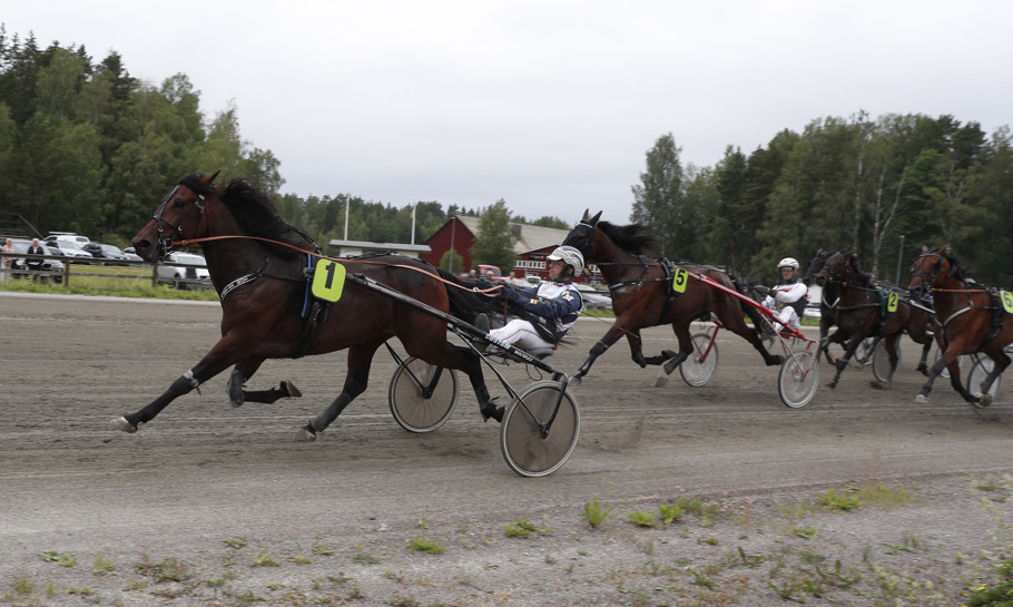 Michelangelo Zon och Paw Mahony