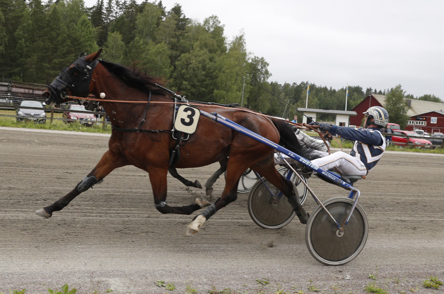 Staro Kitty och Paw Mahony
